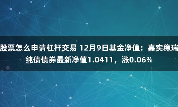 股票怎么申请杠杆交易 12月9日基金净值：嘉实稳瑞纯债债券最新净值1.0411，涨0.06%