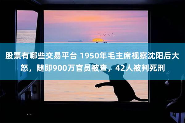 股票有哪些交易平台 1950年毛主席视察沈阳后大怒，随即900万官员被查，42人被判死刑