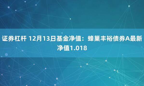 证券杠杆 12月13日基金净值：蜂巢丰裕债券A最新净值1.018