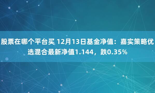 股票在哪个平台买 12月13日基金净值：嘉实策略优选混合最新净值1.144，跌0.35%