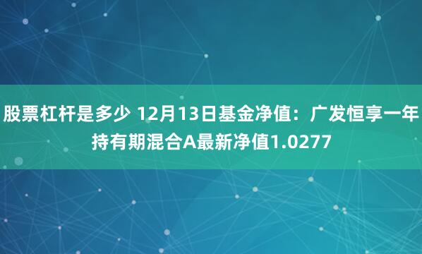 股票杠杆是多少 12月13日基金净值：广发恒享一年持有期混合A最新净值1.0277