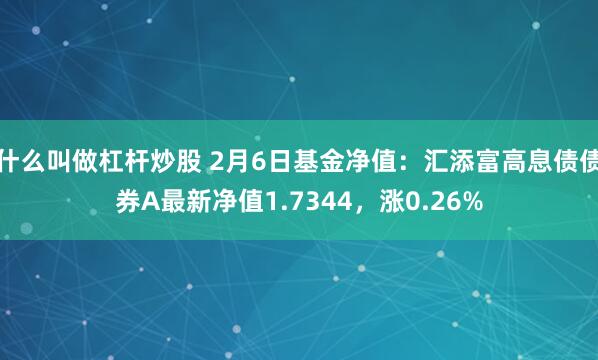 什么叫做杠杆炒股 2月6日基金净值：汇添富高息债债券A最新净值1.7344，涨0.26%