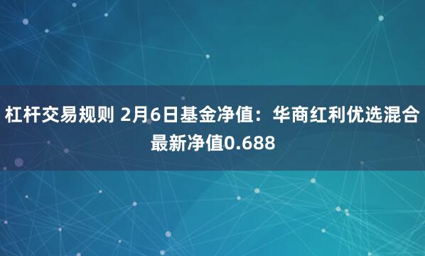 杠杆交易规则 2月6日基金净值：华商红利优选混合最新净值0.688