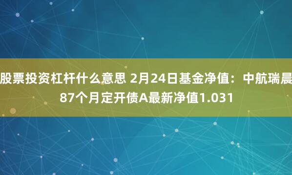 股票投资杠杆什么意思 2月24日基金净值：中航瑞晨87个月定开债A最新净值1.031