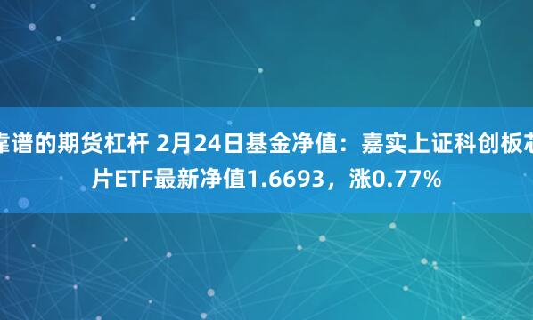 靠谱的期货杠杆 2月24日基金净值：嘉实上证科创板芯片ETF最新净值1.6693，涨0.77%